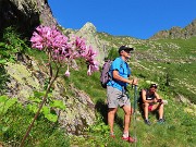 Da Ca San Marco al PASSO-LAGO di VERROBBIO ad anello salendo dall'ALTA VIA MERCATORUM -1lu25  - FOTOGALLERY